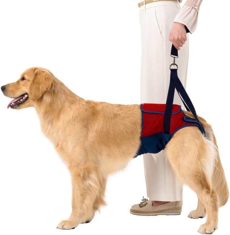 LaLaWalk Hip 大型犬後ろ足用 スカーレットメッシュ 2TA0106